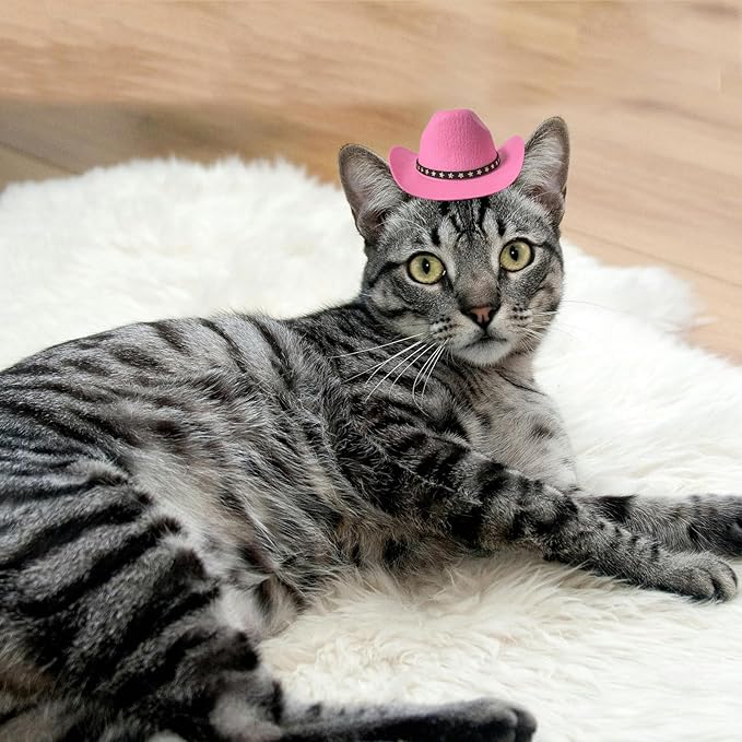 Dog Cowboy Hat Cat Cowboy Hat Mini Cowboy Hat for Dogs Cat Pet Cowboy Costume with Bandana Scarf Holiday Halloween Pet Party Decoration (pink