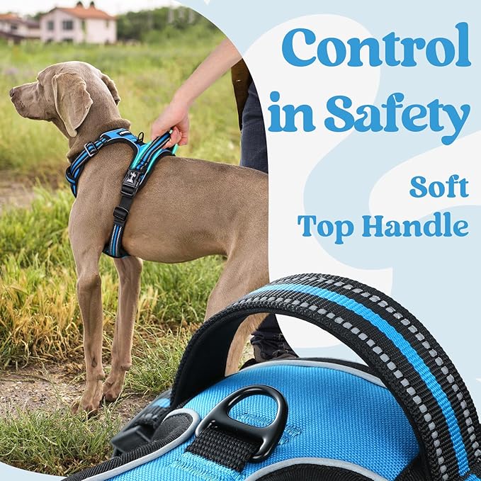 rabbitgoo Dog Harness for Large 3 Buckles,