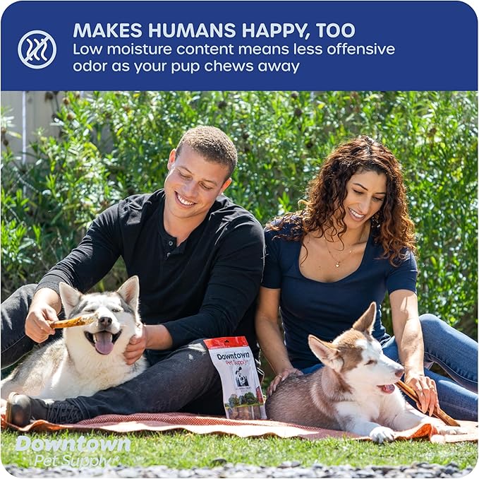 Downtown Pet Supply USA Sourced 12" 8 Oz.