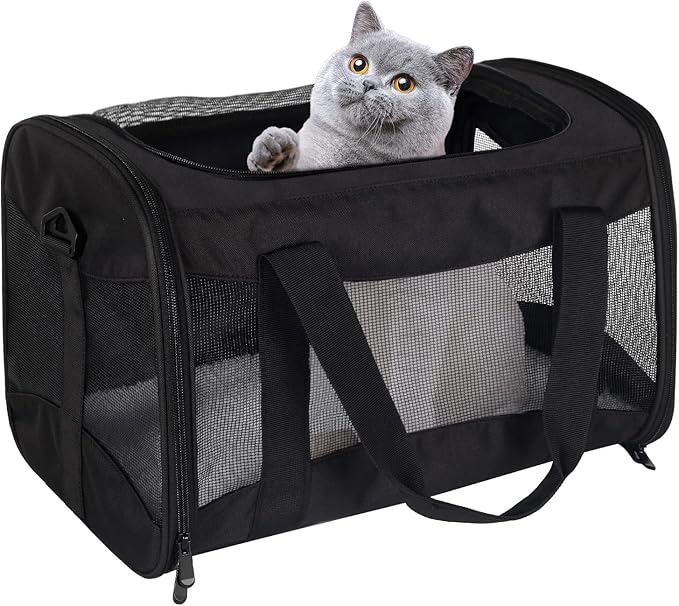 Cat Carrying Case