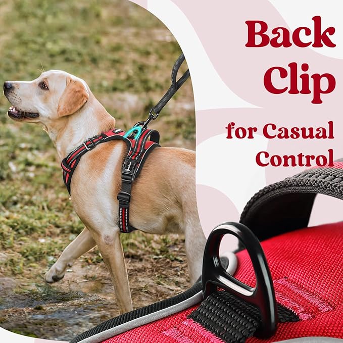 rabbitgoo Dog Harness Medium Sized 3 Buckles,