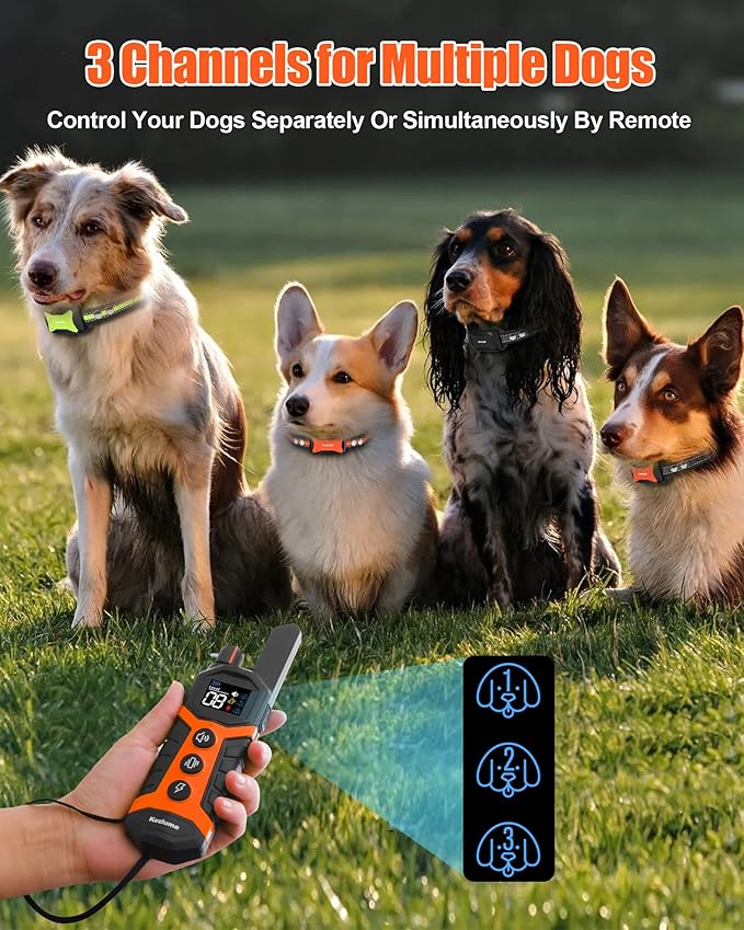 Dog Shock Collar with Remote 4000Ft Waterproof 5-120lbs Small 3 Channels, 3 Electronic