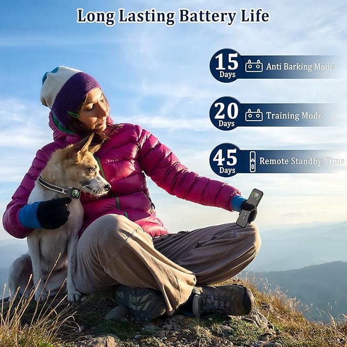 Dog Training Collar with Remote Dog Shock Collar with Automatic No Barking Mode IPX7 Waterproof 2600FT (Gray)