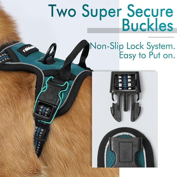 rabbitgoo Dog Harness 2 Leash