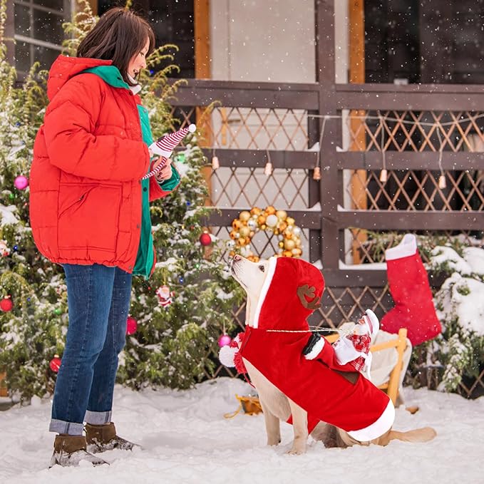 BWOGUE Santa Dog Costume Christmas Pet Clothes Santa