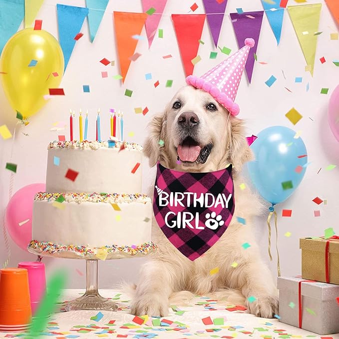 STMK Dog Birthday Bandana