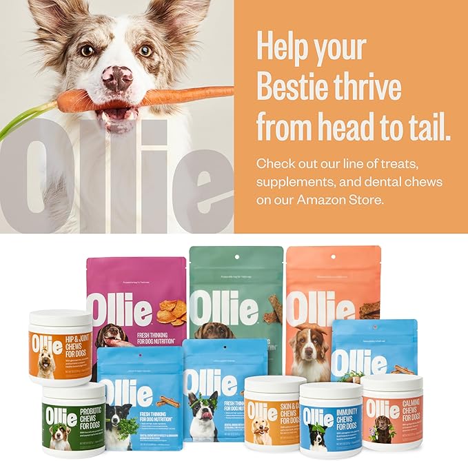Ollie Crunchy Treats Variety Pack 100% Human 16 Oz.