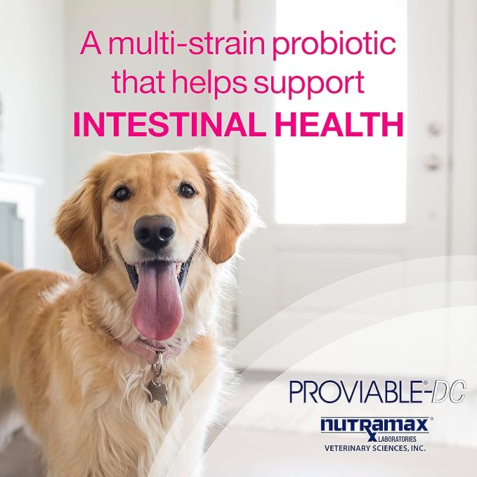 Nutramax Laboratories Proviable Digestive Health Supplement Multi-Strain Probiotics and Prebiotics for Dogs 7-Strains of 60 Chewable
