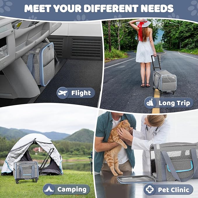 Pet Carrier for Small Dog Cat 20 Lbs