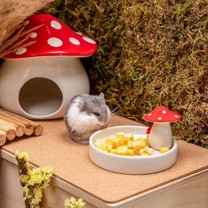 Niteangel Hamster Snack & Treats Toy 0.5oz (15g))