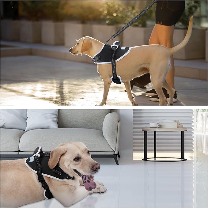 Tactical Dog Harness for Large Dogs