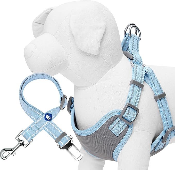 Blueberry Pet Essentials Pastel Color Reflective Matching Dog Harness Vest and Seatbelt Set in Baby Blue