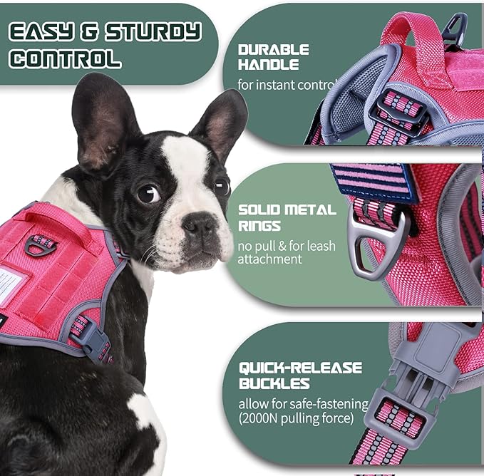 BUMBIN Tactical Dog Harness for Small Dogs No Pull