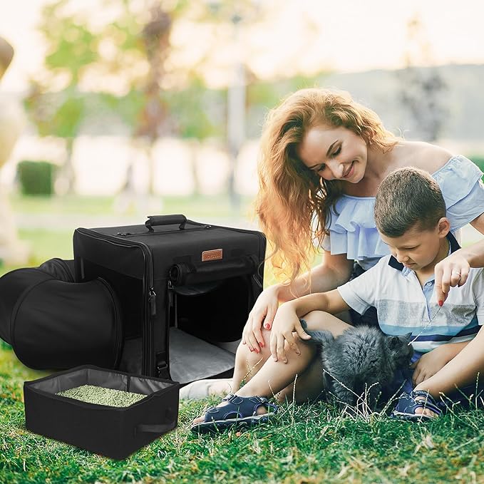 PETUX Cat Travel Carrier with Little Box