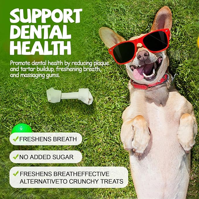ASMPET Chicken Jerky Dog Treats Human-Grade Taurine-Enriched High 100% Natural (10.6 oz)