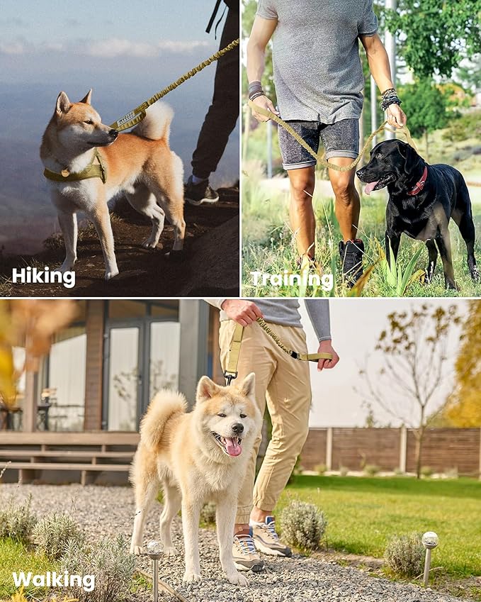 OutdoorMaster Bungee Dog Leash 2 Padded 4 FT