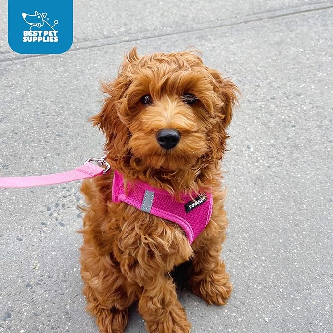 Voyager Step-in Air Dog Harness 20.5-23")