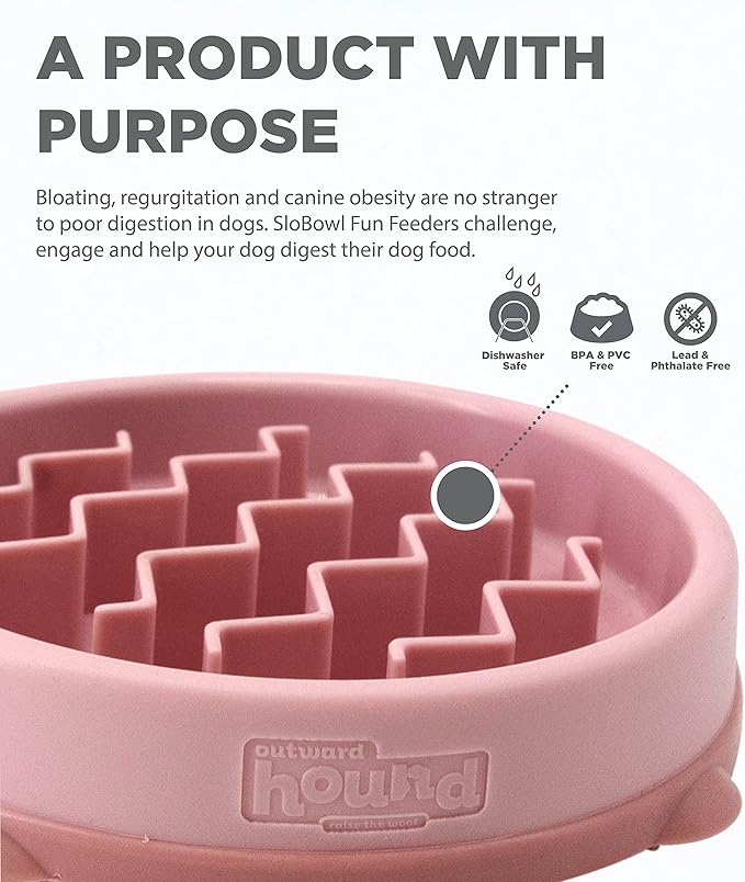 Outward Hound Fun Feeder Slo Bowl