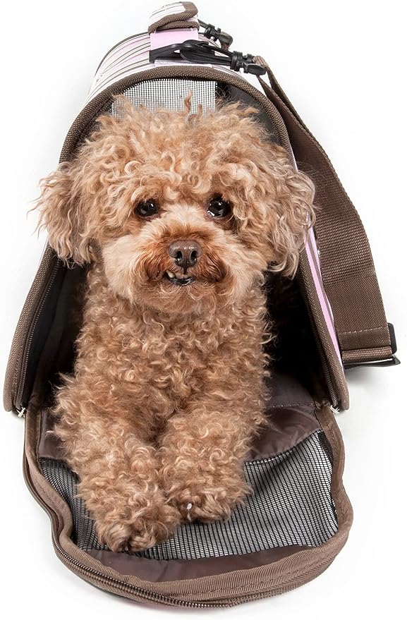 Folding Zippered Lightweight Easy Folding Pet Crate