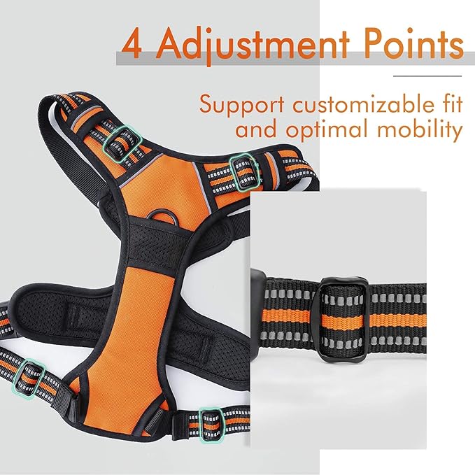 rabbitgoo Dog Harness 2 Leash