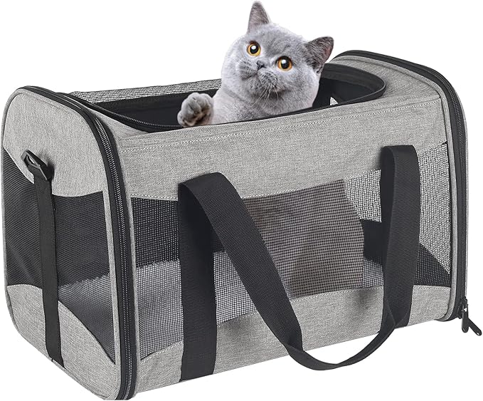 Cat Carrying Case