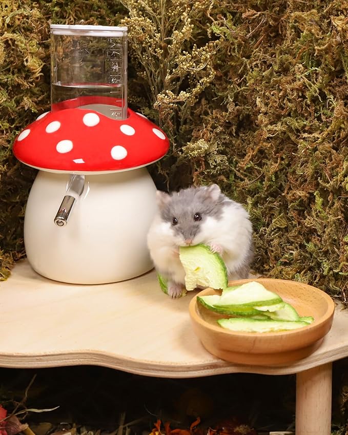Niteangel Hamster Snack & Treats Toy