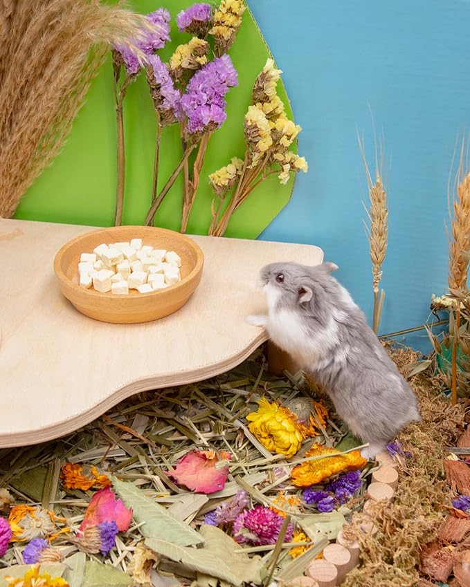 Niteangel Hamster Snack & Treats Toy 5mm - 0.7oz (20g))