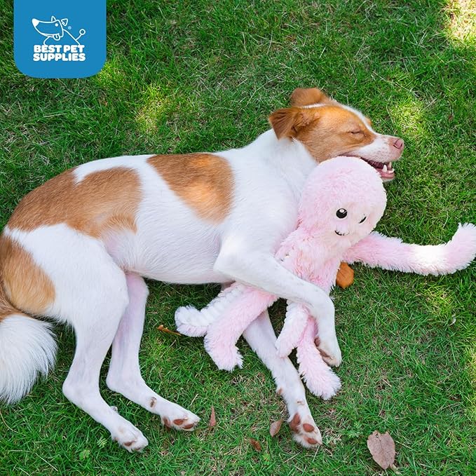 Best Pet Supplies OctoMutant Crinkle Plush Dog Toys for Interactive Play