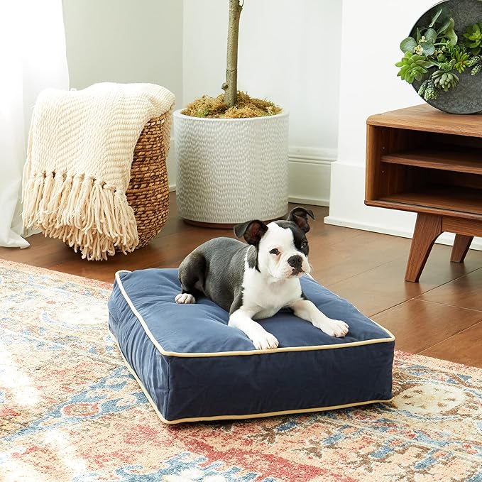 Buster Reversible Rectangle Pillow Style Dog Bed (24 x 18 in.)