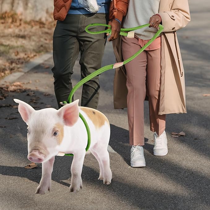 Mini Pig Harness & Leash 8 Feet