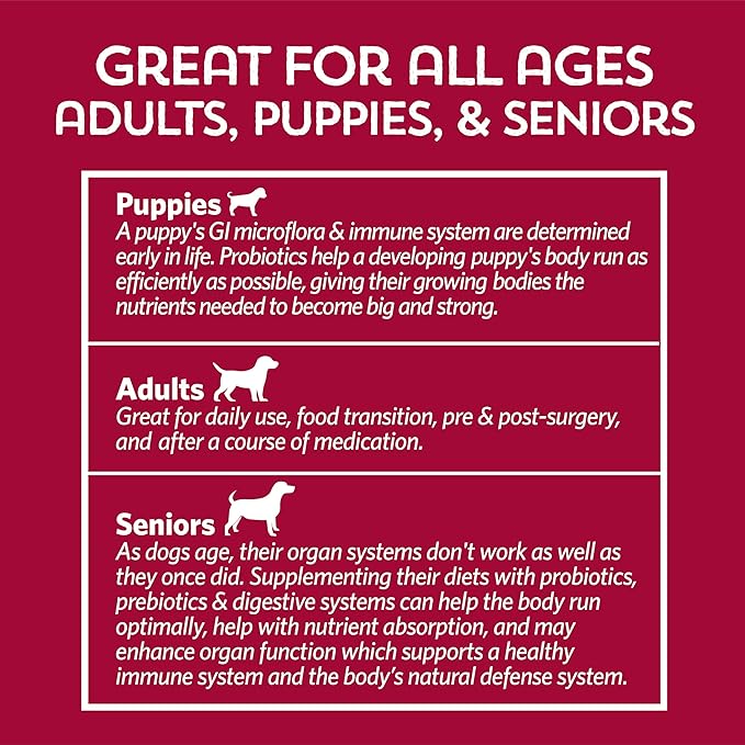 Good Guts for Big Mutts Probiotic for Dogs 12 Billion 11 Strains, 5 Digestive 2 Prebiotics, (20 Days)