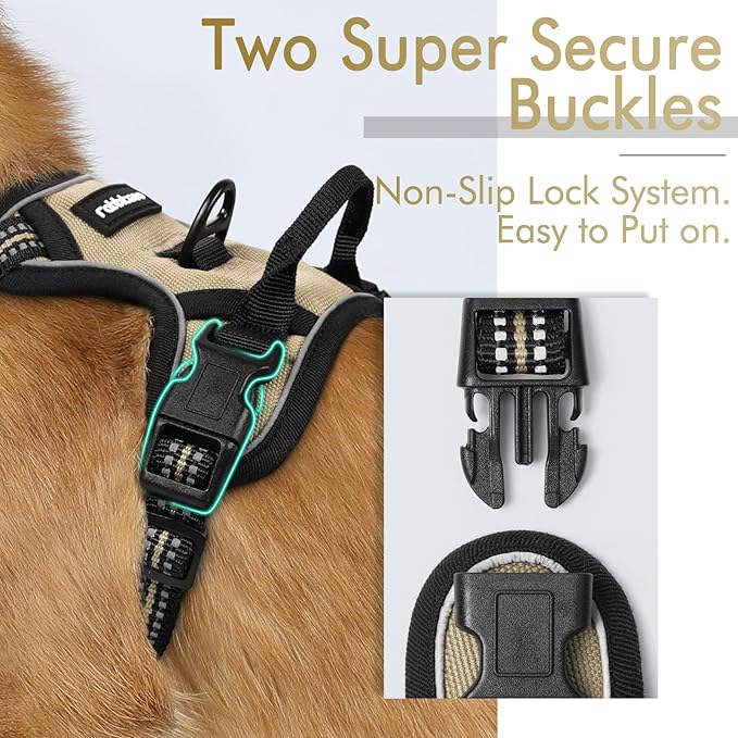 rabbitgoo Dog Harness 2 Leash