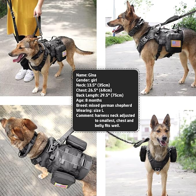 Forestpaw Tactical Dog Harness for Large Dogs