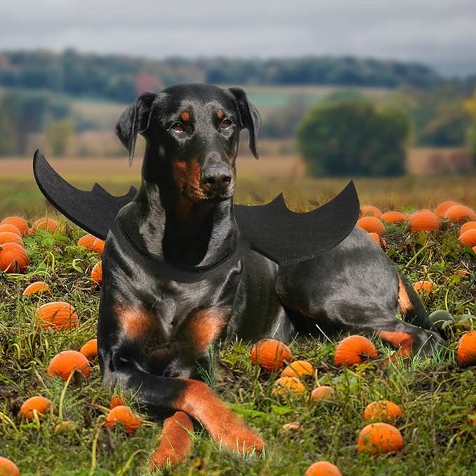 Rypet Dog Bat Costume