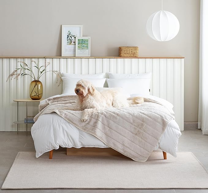 MONSTERA Waterproof Dog Blanket 60" x 80"