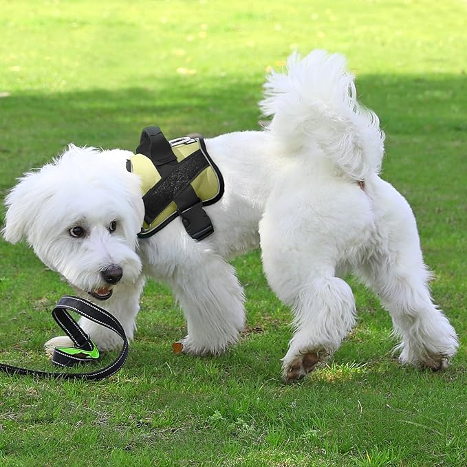 Bolux Dog Harness