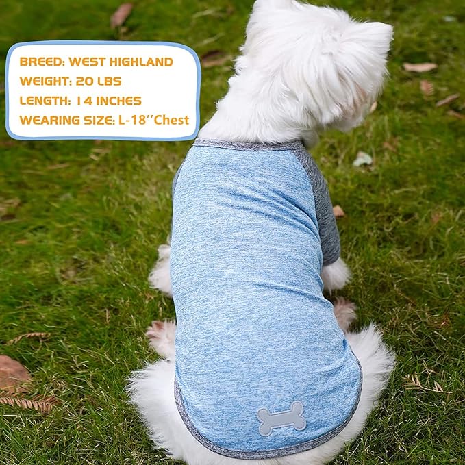 KYEESE 2 Pack Dog Shirts Quick Dry Raglan