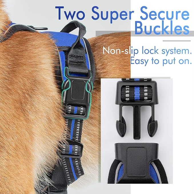 rabbitgoo Dog Harness 2 Leash