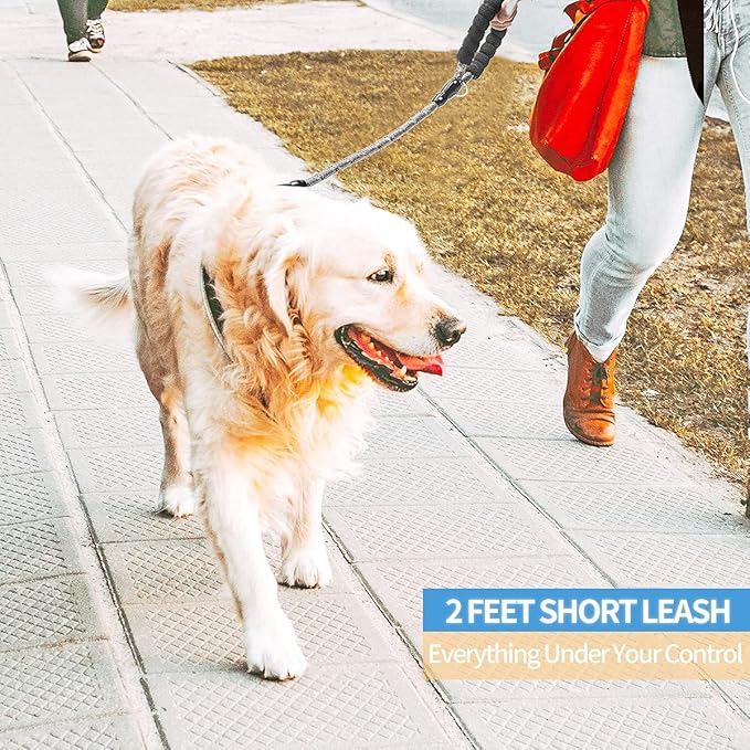 BAAPET 2/4/5/6 FT Dog Leash with Comfortable Padded Handle and Highly Reflective Threads for Small Medium and Large Dogs (2FT-1/2''