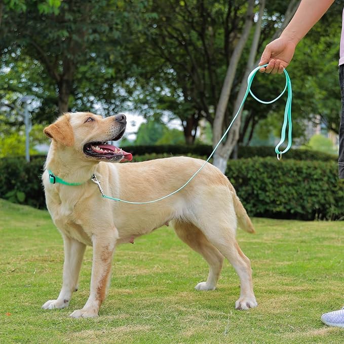 Waterproof Dog Collar 15.4-24.8 inch)