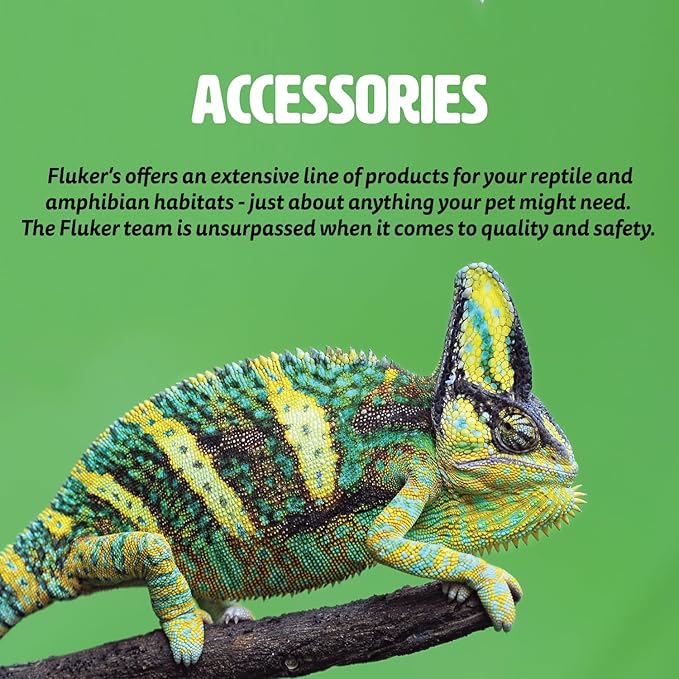 Fluker's Repta Bowl 4"