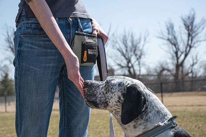 OllyDog Goodie Treat Bag