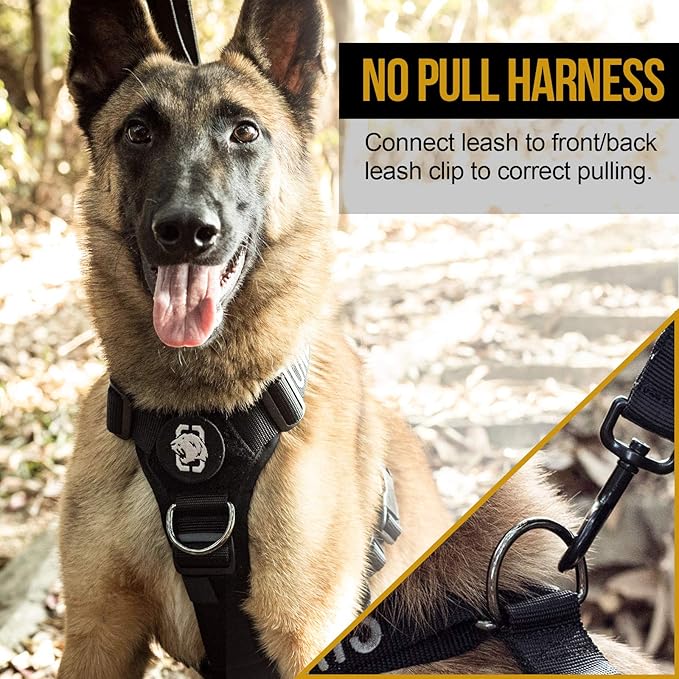 Dog Harness