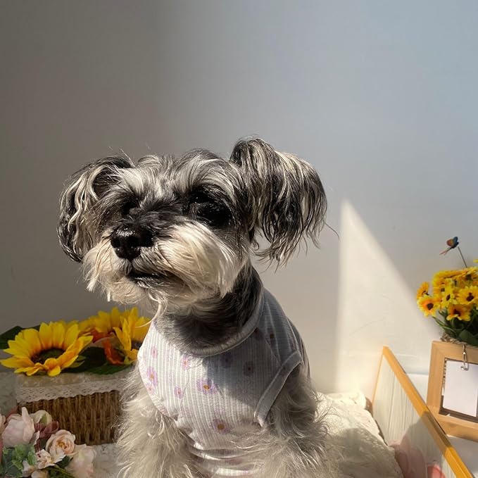 2PCS Summer Dog Cotton T Shirt Pet Tee