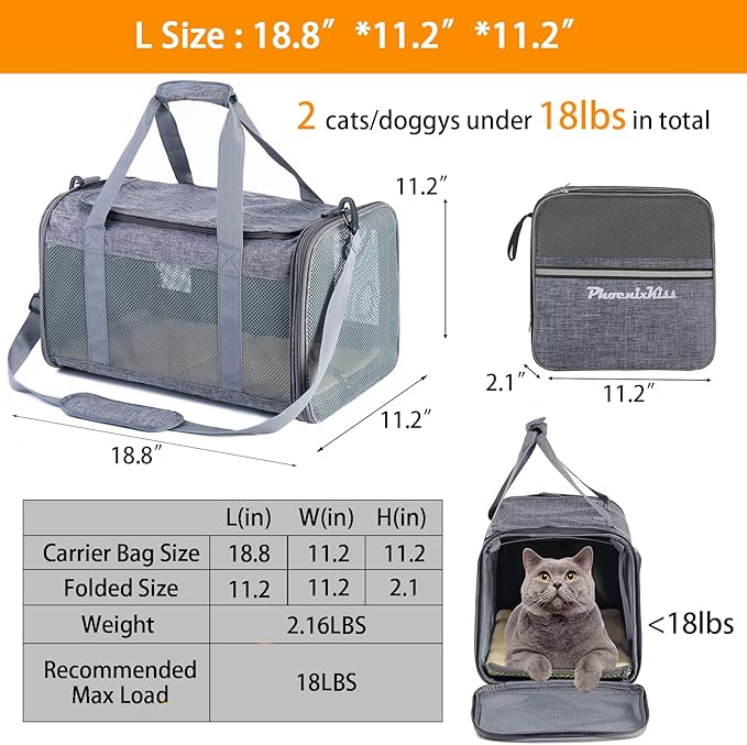 Cat Carrier for 2 Cats