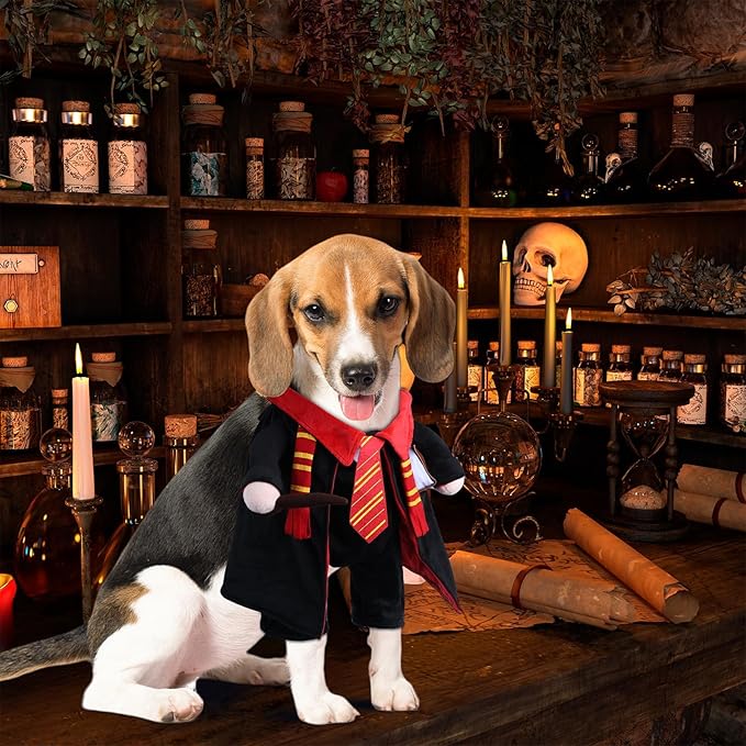 DELIFUR Dog Halloween Wizard Costume