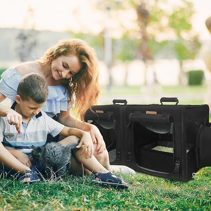 PETUX Cat Travel Carrier with Litle Box 2-in-1 Cat 2 Cats,