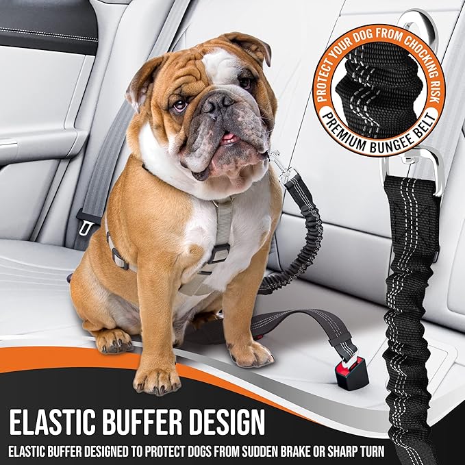 Dog Seat Belt for Car with Reflective Stitching