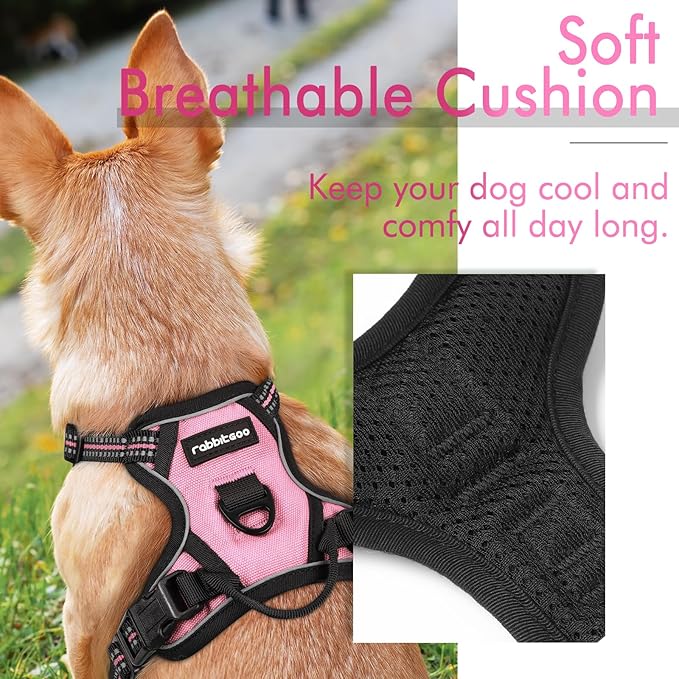 rabbitgoo Dog Harness 2 Leash