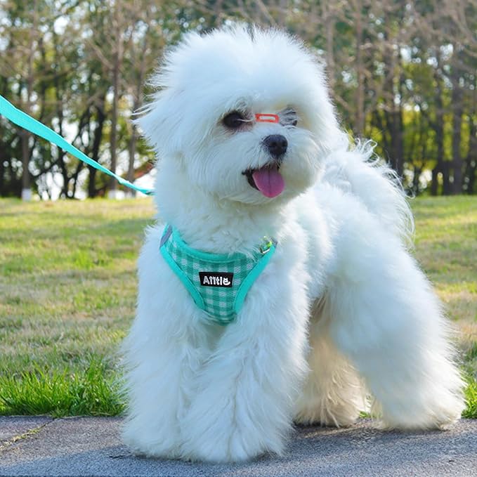 AIITLE Summer Breathable Mesh Dog Vest Harness